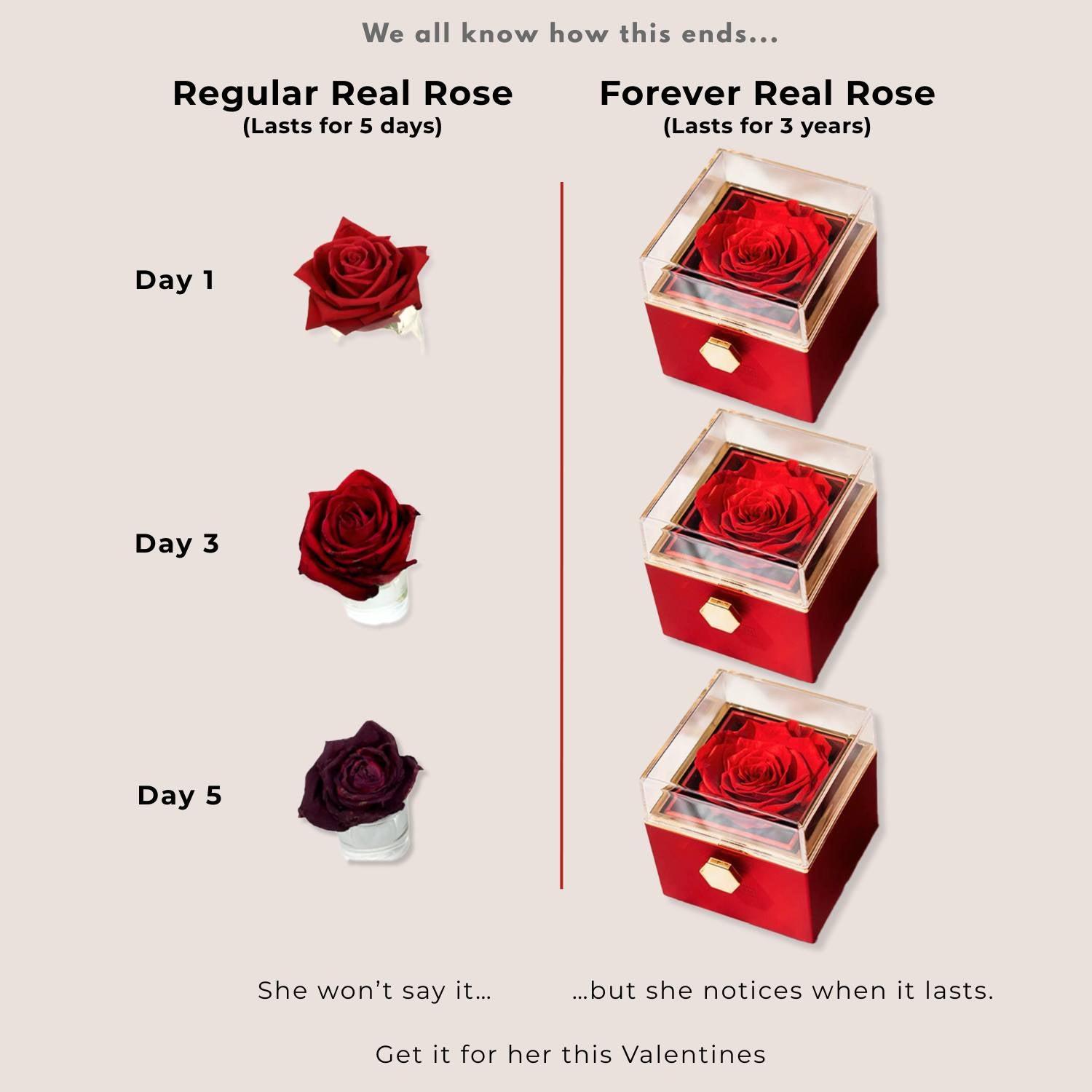 Valentine's Rotating Rose Preserved Rose Jewellery Box With Rings