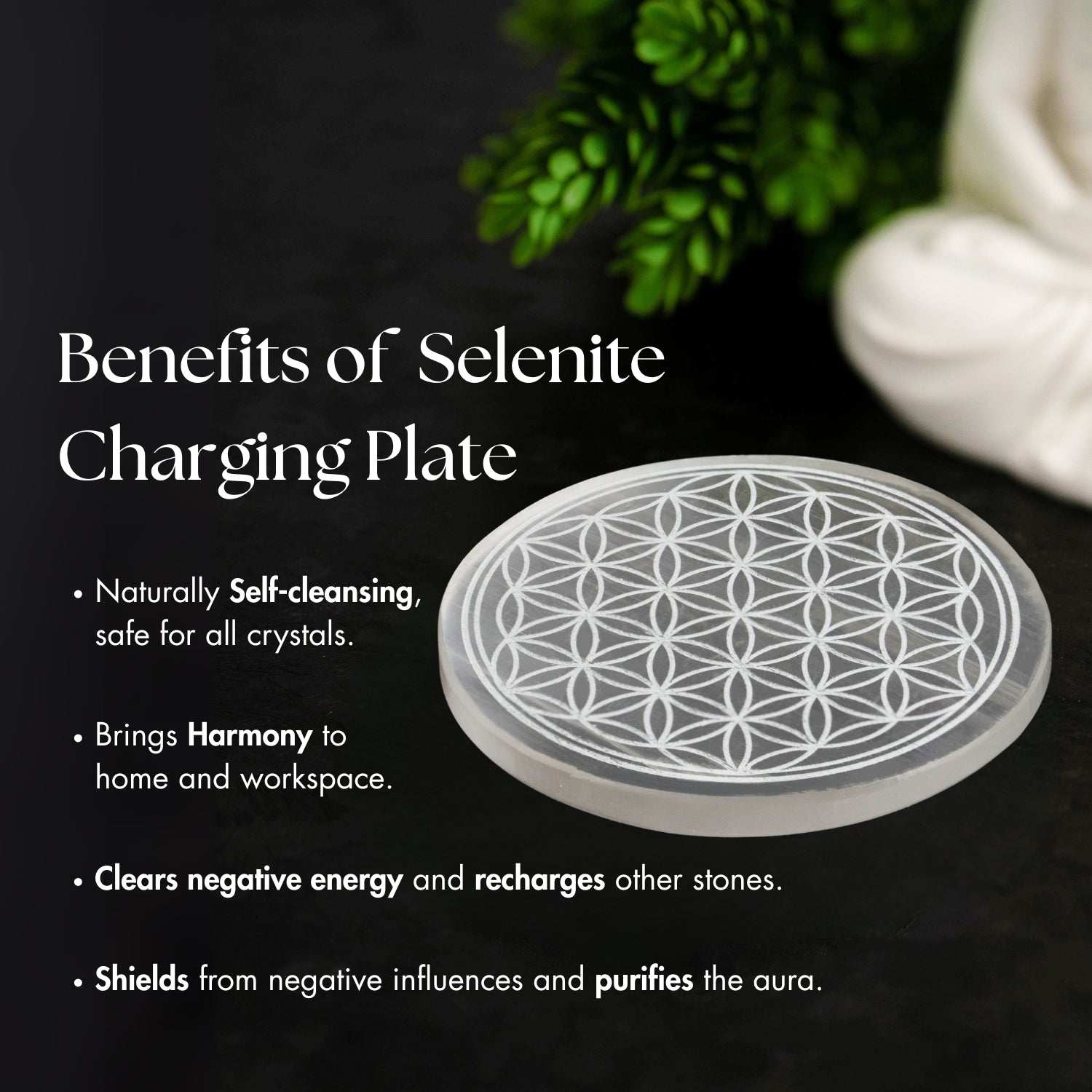 Yin Yang Selenite Charging Plate