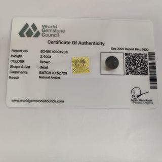 Amber lab certificate 13