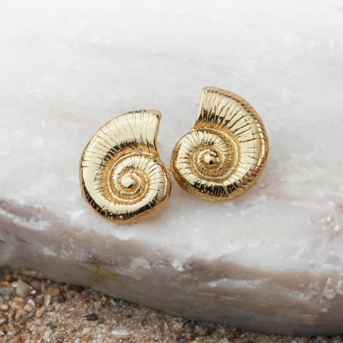 Moana Shell